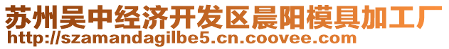 蘇州吳中經(jīng)濟(jì)開發(fā)區(qū)晨陽(yáng)模具加工廠