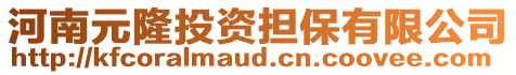 河南元隆投資擔保有限公司