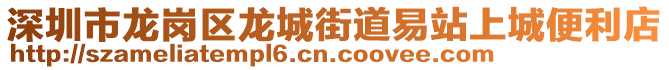 深圳市龙岗区龙城街道易站上城便利店