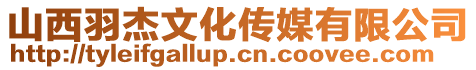 山西羽杰文化傳媒有限公司