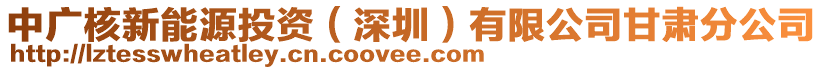 中廣核新能源投資（深圳）有限公司甘肅分公司