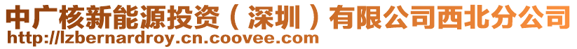 中廣核新能源投資（深圳）有限公司西北分公司