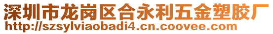 深圳市龍崗區(qū)合永利五金塑膠廠