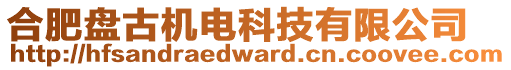 合肥盤古機(jī)電科技有限公司