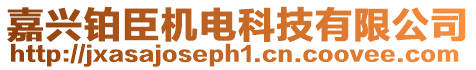 嘉興鉑臣機電科技有限公司