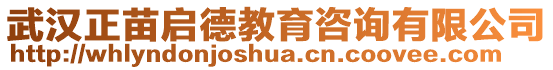 武漢正苗啟德教育咨詢有限公司