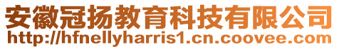 安徽冠揚教育科技有限公司