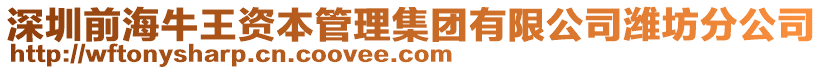 深圳前海牛王资本管理集团有限公司潍坊分公司