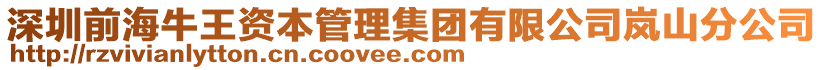 深圳前海牛王資本管理集團有限公司嵐山分公司