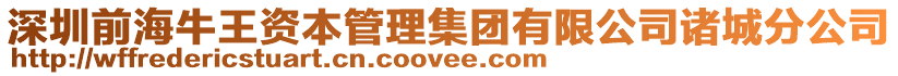 深圳前海牛王資本管理集團有限公司諸城分公司