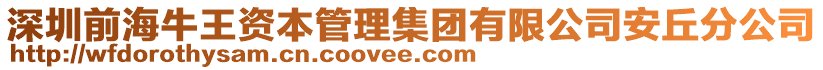 深圳前海牛王资本管理集团有限公司安丘分公司