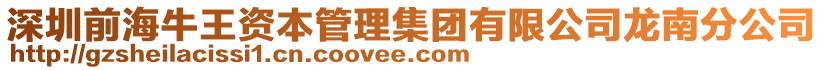 深圳前海牛王资本管理集团有限公司龙南分公司