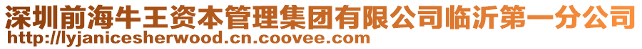 深圳前海牛王資本管理集團有限公司臨沂第一分公司