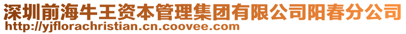 深圳前海牛王資本管理集團(tuán)有限公司陽春分公司