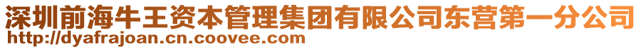 深圳前海牛王資本管理集團(tuán)有限公司東營(yíng)第一分公司