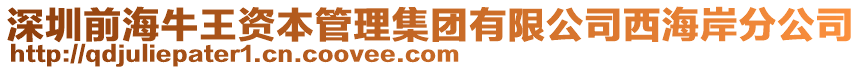 深圳前海牛王資本管理集團有限公司西海岸分公司