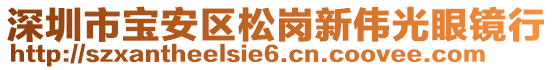 深圳市寶安區松崗新偉光眼鏡行