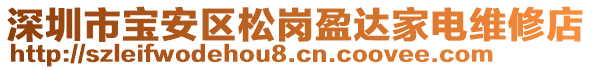 深圳市寶安區(qū)松崗盈達家電維修店