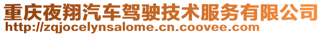 重慶夜翔汽車(chē)駕駛技術(shù)服務(wù)有限公司