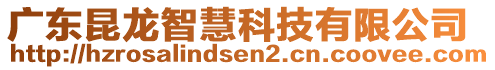 廣東昆龍智慧科技有限公司