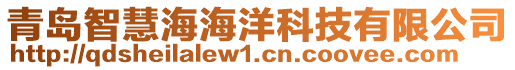 青岛智慧海海洋科技有限公司