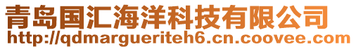 青岛国汇海洋科技有限公司