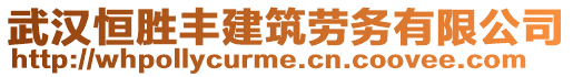 武漢恒勝豐建筑勞務有限公司