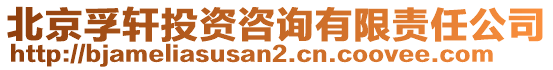 北京孚軒投資咨詢有限責任公司