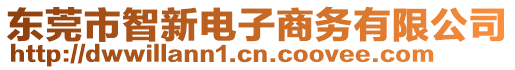 東莞市智新電子商務(wù)有限公司