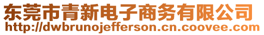 東莞市青新電子商務有限公司