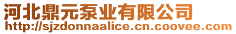 河北鼎元泵業(yè)有限公司