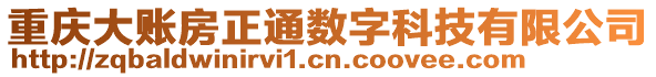 重慶大賬房正通數(shù)字科技有限公司