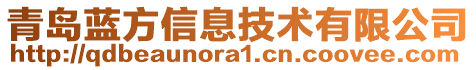 青島藍(lán)方信息技術(shù)有限公司