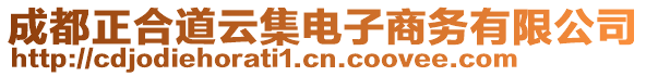 成都正合道云集電子商務(wù)有限公司