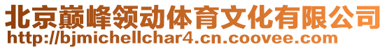 北京巔峰領(lǐng)動(dòng)體育文化有限公司