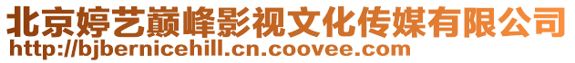 北京婷藝巔峰影視文化傳媒有限公司