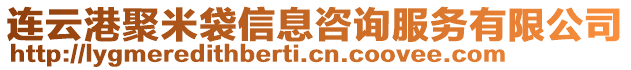 連云港聚米袋信息咨詢服務(wù)有限公司