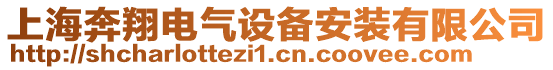 上海奔翔電氣設(shè)備安裝有限公司