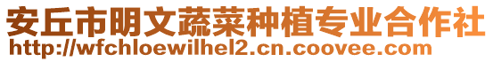 安丘市明文蔬菜種植專業(yè)合作社