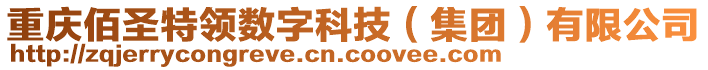 重慶佰圣特領(lǐng)數(shù)字科技（集團(tuán)）有限公司