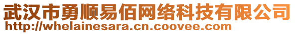 武漢市勇順易佰網(wǎng)絡科技有限公司