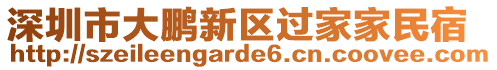 深圳市大鵬新區(qū)過家家民宿