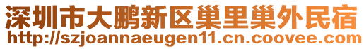 深圳市大鵬新區(qū)巢里巢外民宿