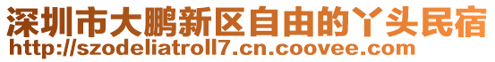 深圳市大鵬新區(qū)自由的丫頭民宿