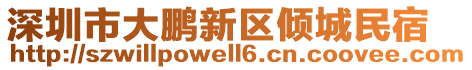 深圳市大鹏新区倾城民宿