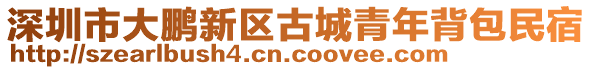 深圳市大鵬新區(qū)古城青年背包民宿