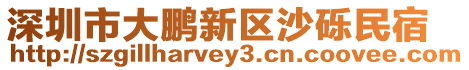 深圳市大鵬新區(qū)沙礫民宿