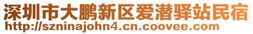 深圳市大鵬新區(qū)愛潛驛站民宿