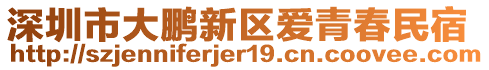 深圳市大鵬新區(qū)愛青春民宿