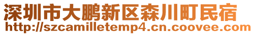 深圳市大鵬新區(qū)森川町民宿